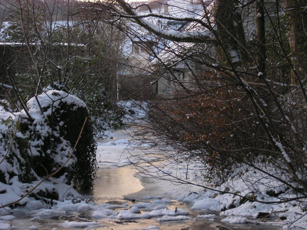 Whistlers Dell B&B Rhu Eksteriør bilde